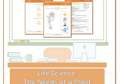 Life Science: "The Needs of a Plant" - Daybreak Lessons