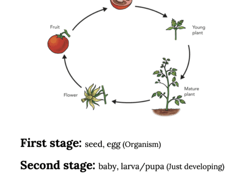 Life Science: 